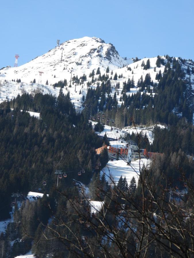 Апартаменты Haus Alpengold Бад Хофгаштайн Экстерьер фото